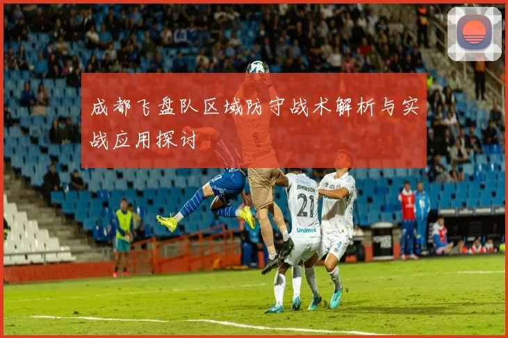 成都飞盘队区域防守战术解析与实战应用探讨